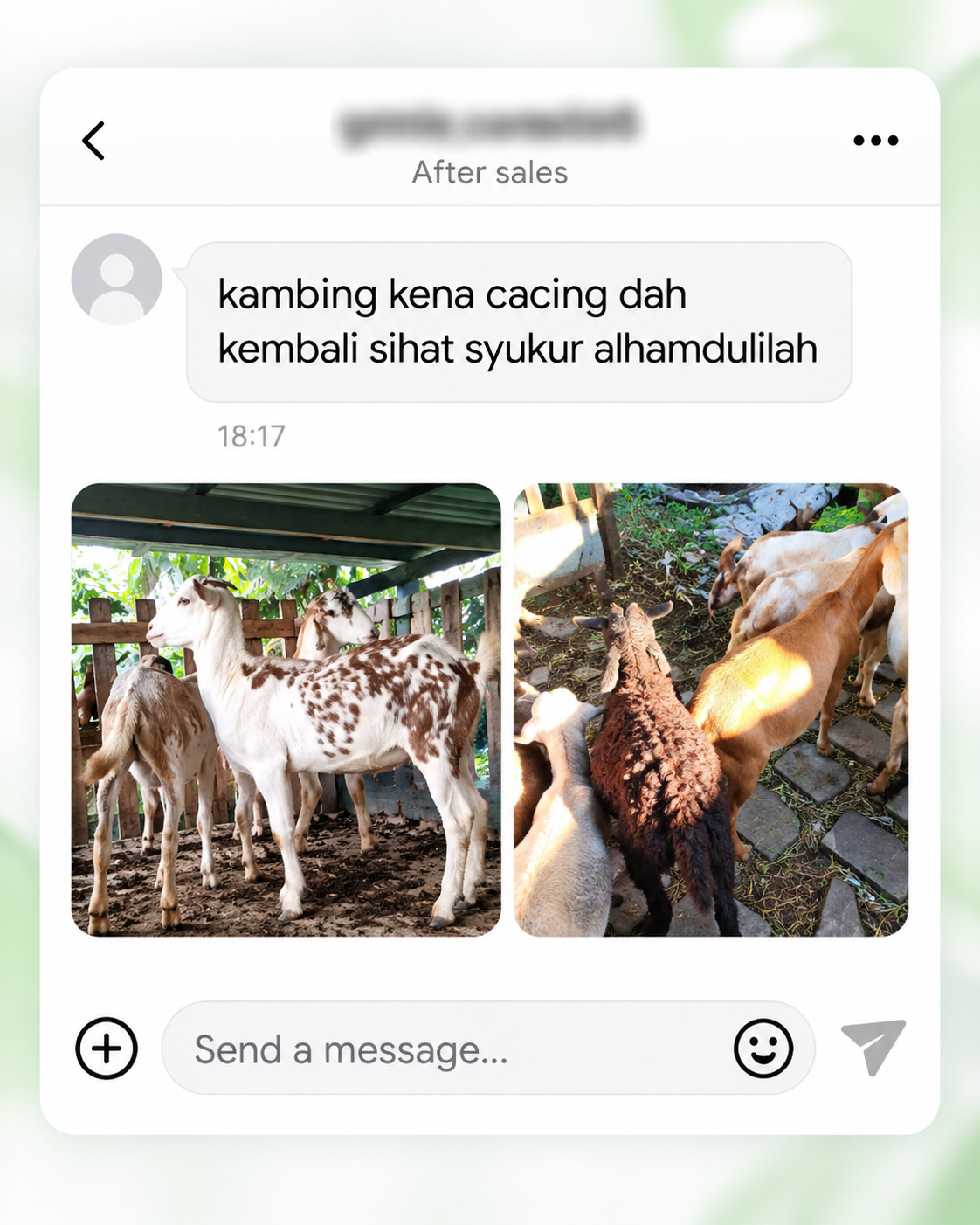 Ulasan pelanggan LORAVET Deworm Mix