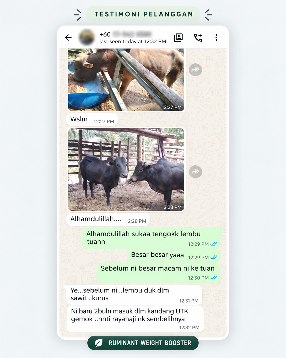 Maklum balas pengguna Ruminant Weight Booster